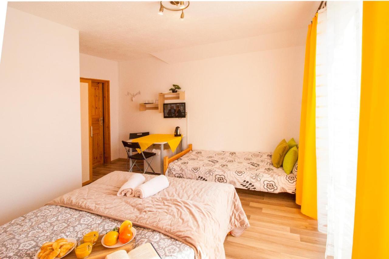 Bieszczadzki Brat Apartamenty Polańczyk Kültér fotó